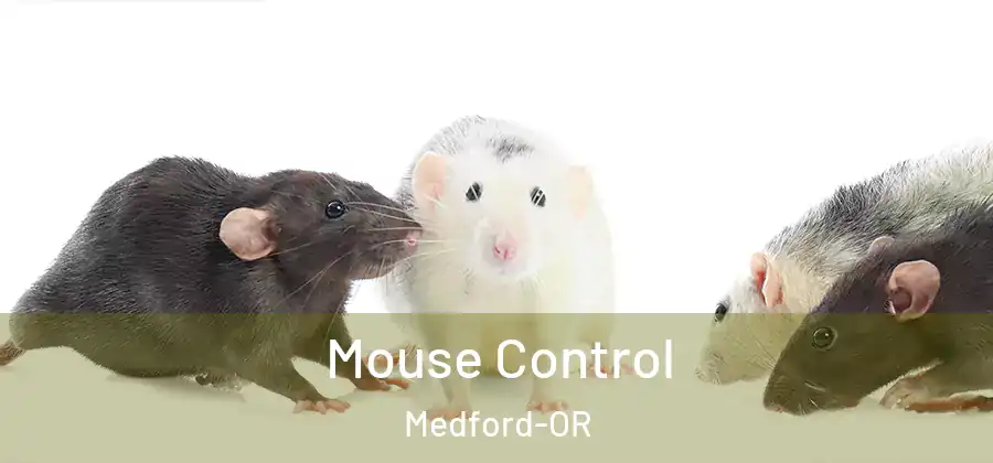 Mouse Control Medford-OR