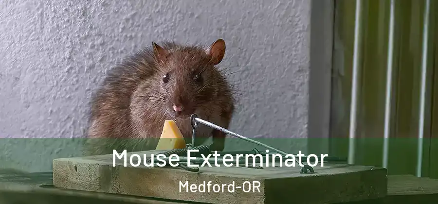 Mouse Exterminator Medford-OR