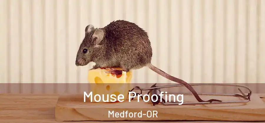  Mouse Proofing Medford-OR