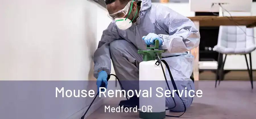  Mouse Removal Service Medford-OR