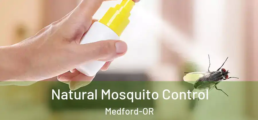  Natural Mosquito Control Medford-OR