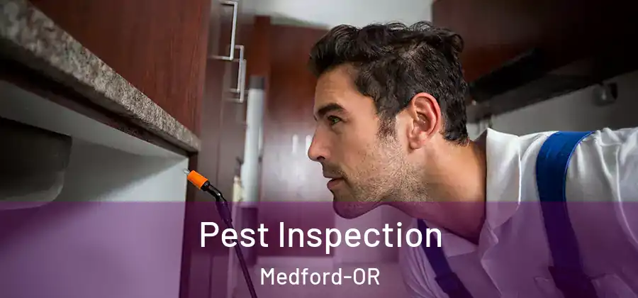  Pest Inspection Medford-OR
