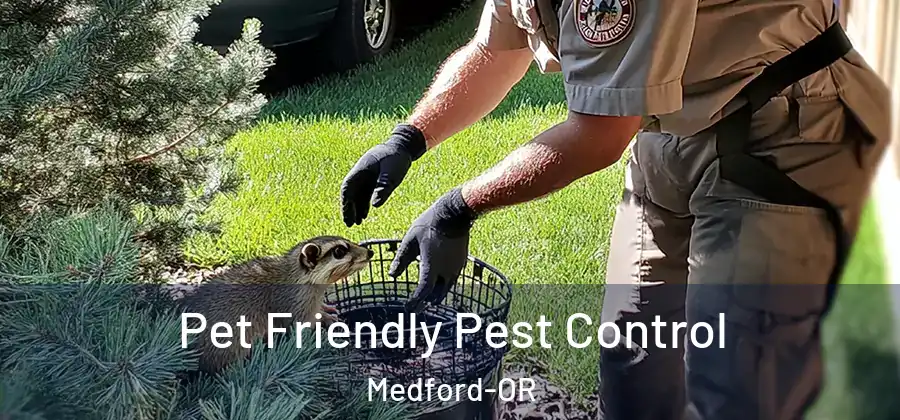  Pet Friendly Pest Control Medford-OR