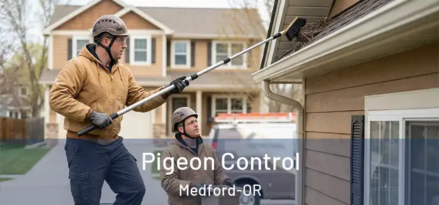 Pigeon Control Medford-OR