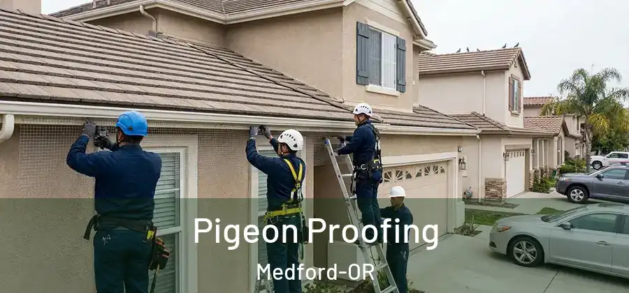  Pigeon Proofing Medford-OR