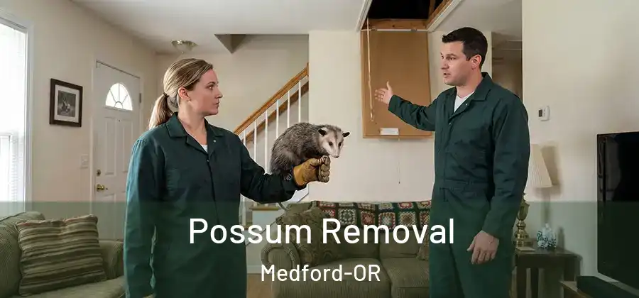  Possum Removal Medford-OR