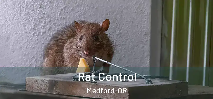  Rat Control Medford-OR