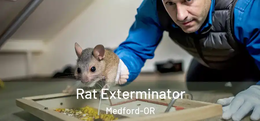  Rat Exterminator Medford-OR