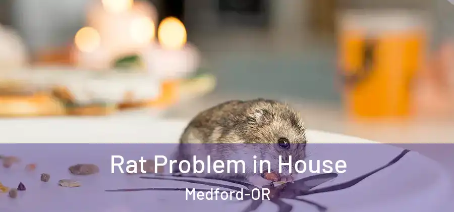  Rat Problem in House Medford-OR