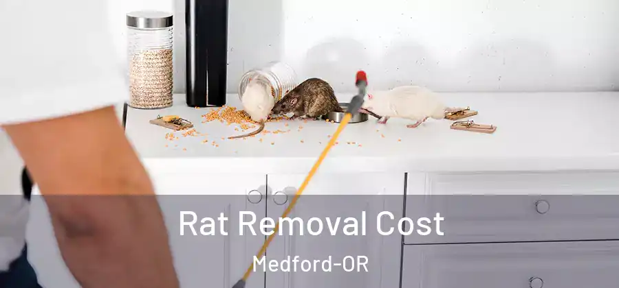  Rat Removal Cost Medford-OR