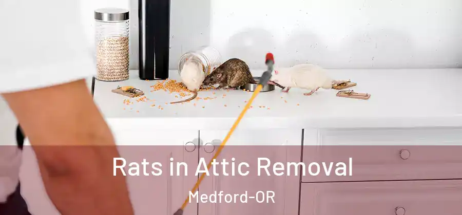  Rats in Attic Removal Medford-OR