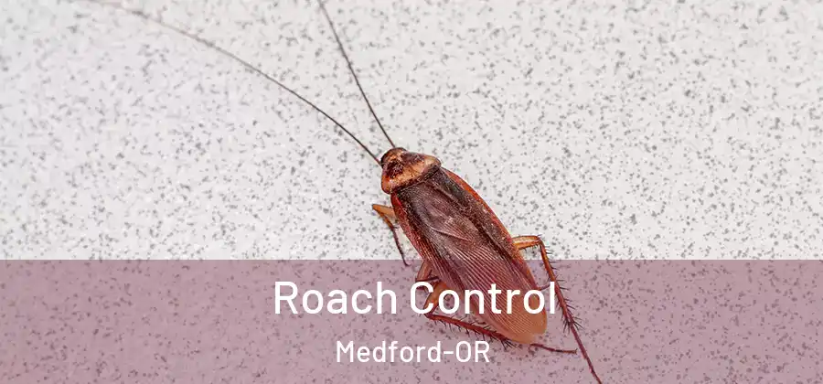  Roach Control Medford-OR