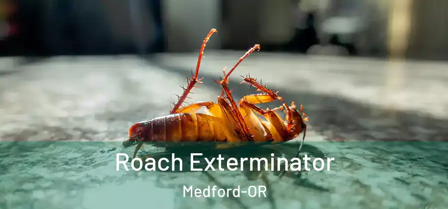 Roach Exterminator Medford-OR