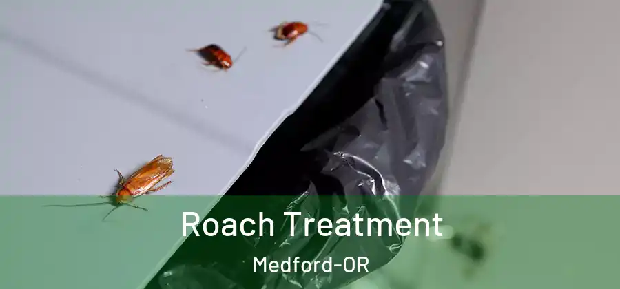 Roach Treatment Medford-OR