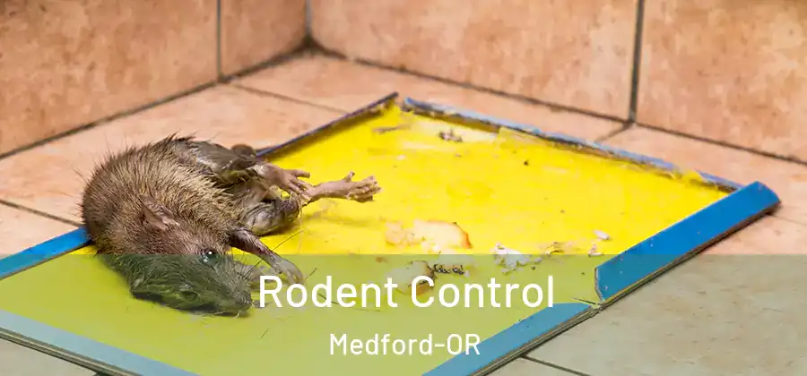 Rodent Control Medford-OR