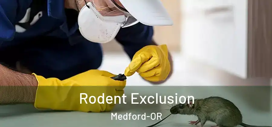  Rodent Exclusion Medford-OR
