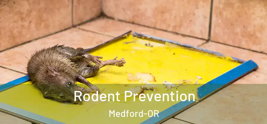  Rodent Prevention Medford-OR