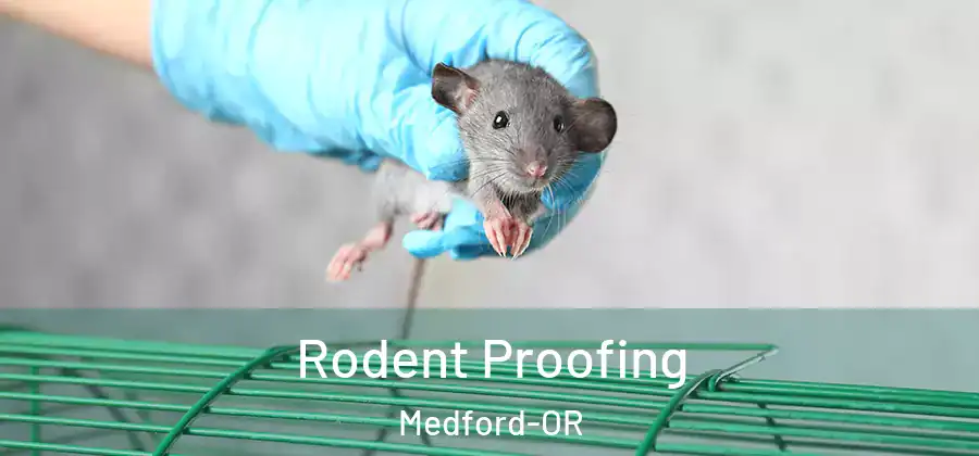 Rodent Proofing Medford-OR