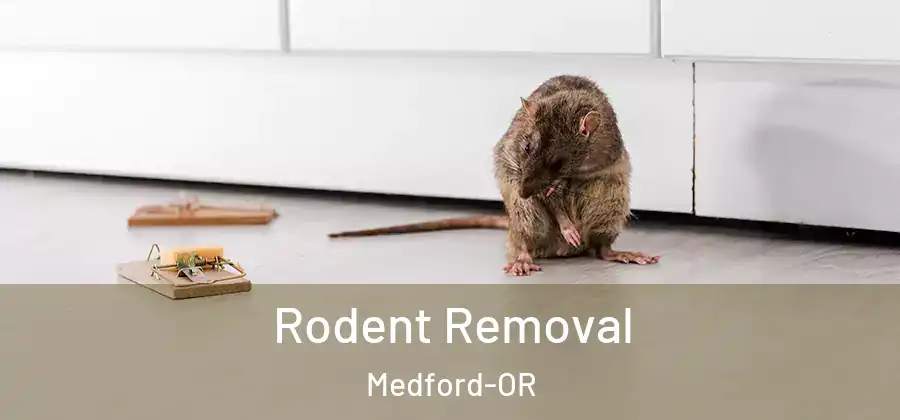  Rodent Removal Medford-OR
