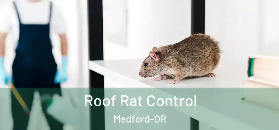  Roof Rat Control Medford-OR