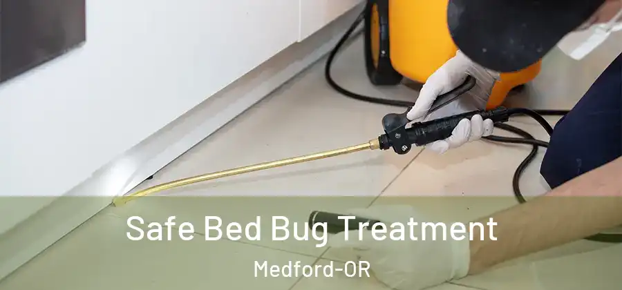  Safe Bed Bug Treatment Medford-OR
