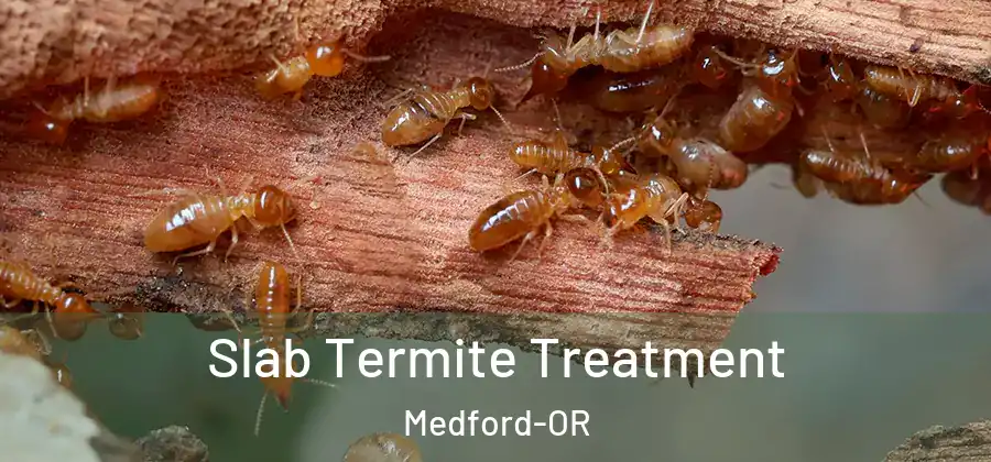  Slab Termite Treatment Medford-OR