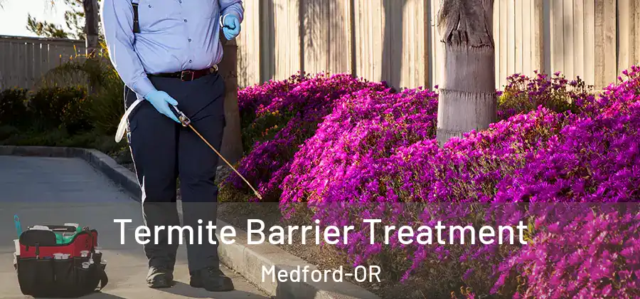  Termite Barrier Treatment Medford-OR