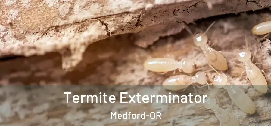 Termite Exterminator Medford-OR