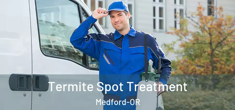  Termite Spot Treatment Medford-OR