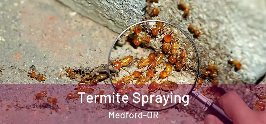  Termite Spraying Medford-OR