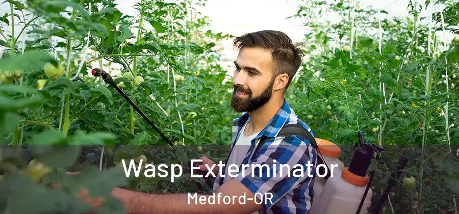  Wasp Exterminator Medford-OR