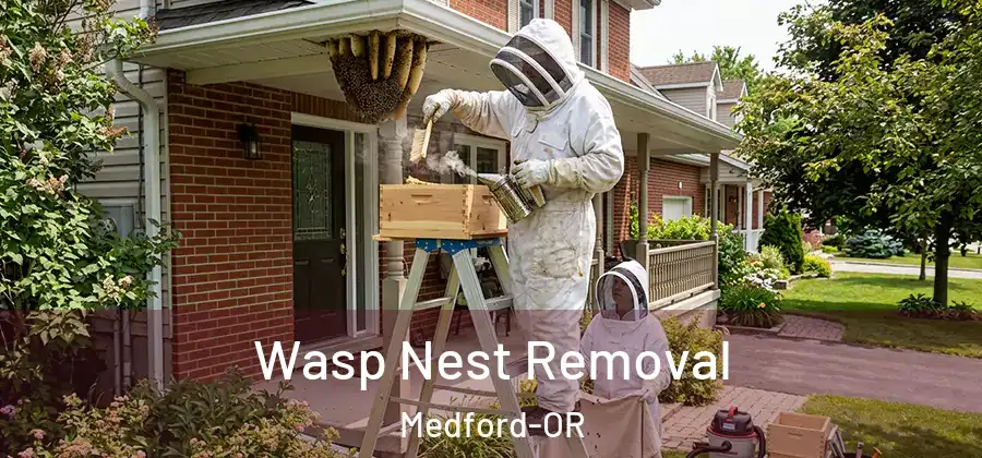  Wasp Nest Removal Medford-OR