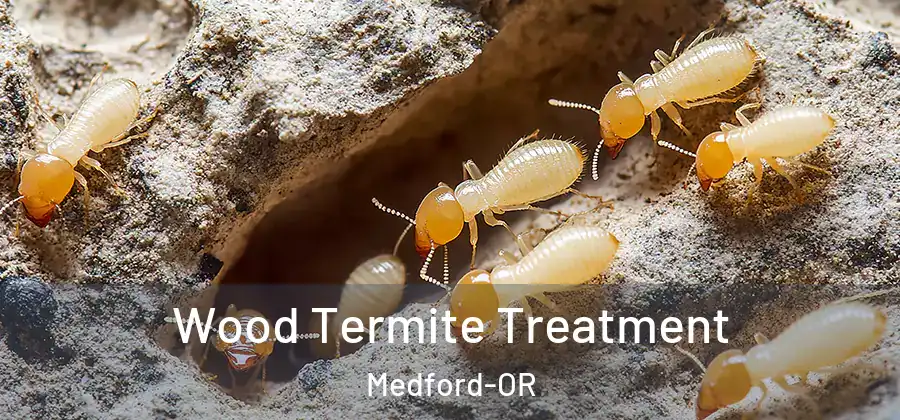  Wood Termite Treatment Medford-OR
