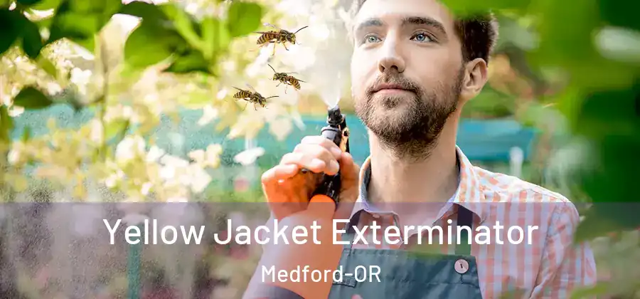  Yellow Jacket Exterminator Medford-OR