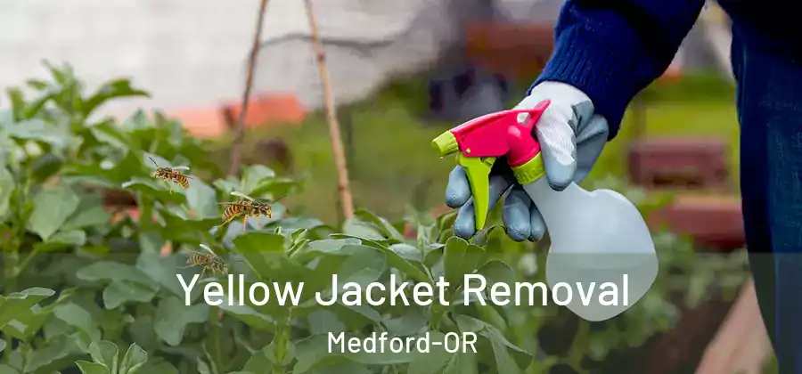  Yellow Jacket Removal Medford-OR